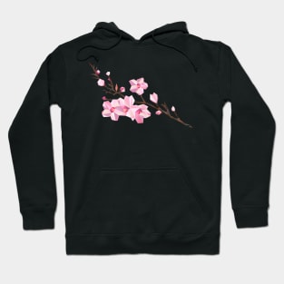 Geometric Japanese Sakura - Cherry Blossoms on White Background Hoodie